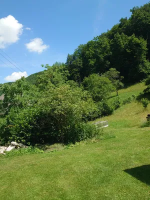 Grundstück kaufen in Steyr-Land – 600 m², € 138.000 – Bild 3 von 7
