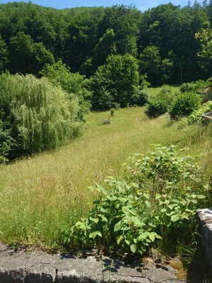 Grundstück kaufen in Steyr-Land – 600 m², € 138.000 – Bild 5 von 7