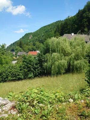 Grundstück kaufen in Steyr-Land – 600 m², € 138.000 – Bild 4 von 7
