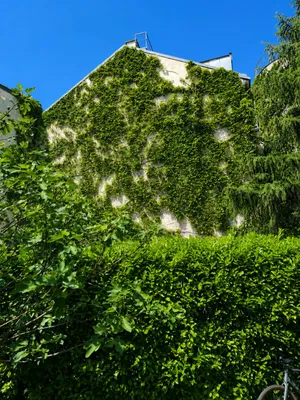 Wohnung kaufen in Wien – 116 m², € 645.000 – Bild 24 von 32
