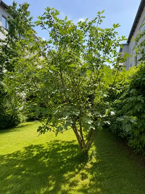 Wohnung kaufen in Wien – 116 m², € 645.000 – Bild 8 von 32