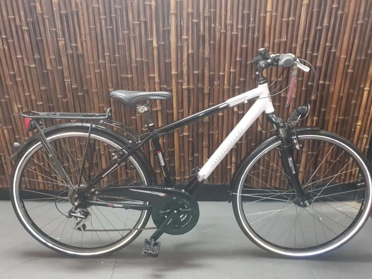 günstige fahrräder 24 zoll Kinderfahrrad, BBF Outrider Sporty, 3 Gang Shimano Nexus Naben – COLOR:Gloss Pine Green / Dune White And California Sunshine Hama CD Tasche Filz Category:Kinder Jugend Fahrräder_14 kg