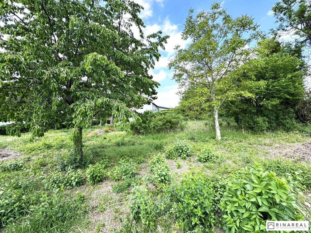 Unbebautes Grundstück | 600 m² | Bauland Wohngebiet - maximal 2 Wohneinheiten | im Herzen von Leopoldsdorf - unweit der Hauptstraße - Ansicht 2