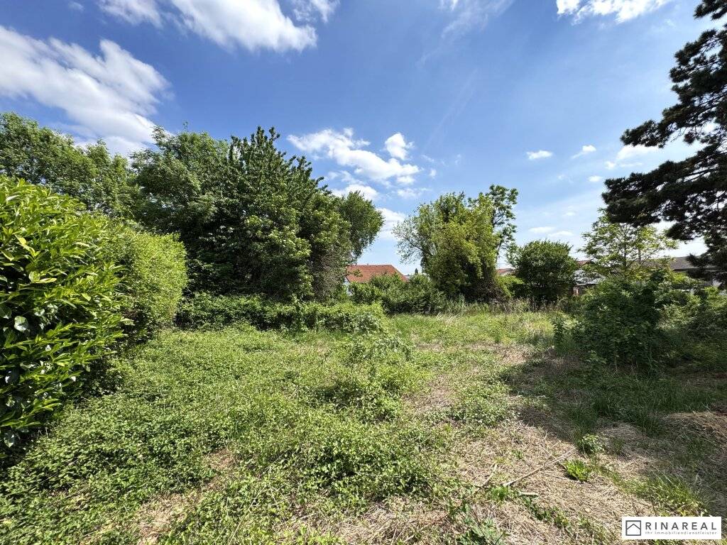 Unbebautes Grundstück | 600 m² | Bauland Wohngebiet - maximal 2 Wohneinheiten | im Herzen von Leopoldsdorf - unweit der Hauptstraße - Ansicht 3