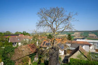5-Zimmer-Haus kaufen in Sankt Pölten Land – 183 m², € 1.190.000 – Bild 18 von 26