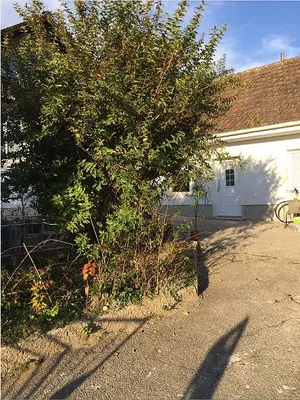 1-Zimmer-Wohnung mieten in Oberpullendorf – 45 m², € 390