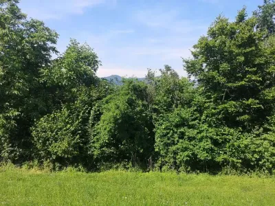 Grundstück kaufen in Hartberg-Fürstenfeld – 1 326 m², € 49.900 – Bild 3 von 8