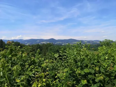 Grundstück kaufen in Hartberg-Fürstenfeld – 1 326 m², € 49.900 – Bild 5 von 8