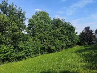 Grundstück kaufen in Hartberg-Fürstenfeld – 1 326 m², € 49.900 – Bild 2 von 8