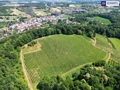 Grundstück kaufen in Leibnitz – 11 733 m², € 1.400.000 – Bild 3 von 6