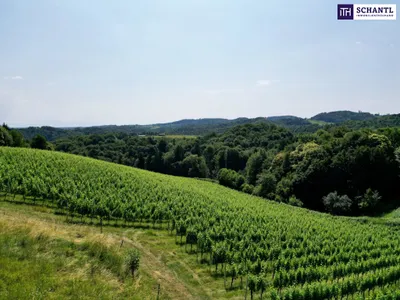 Grundstück kaufen in Leibnitz – 11 733 m², € 1.400.000