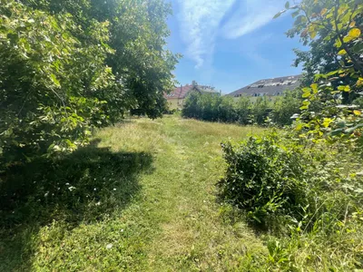Grundstück kaufen in Mödling – € 1.900.000 – Bild 9 von 19