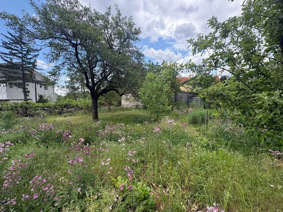 Ihr neues Bauprojekt beginnt hier - Grundstück in Bestlage! Altbestand vorhanden Brunn am Gebirge - Widok 3