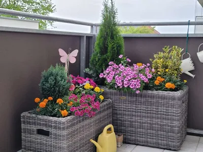 3-Zimmer-Wohnung kaufen in Graz – 74 m², € 340.000 – Bild 13 von 14