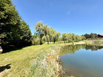 Immobilie kaufen in Schärding – 120 000 m² – Bild 15 von 19