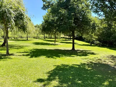 Immobilie kaufen in Schärding – 120 000 m² – Bild 13 von 19