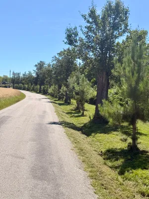 Immobilie kaufen in Schärding – 120 000 m² – Bild 2 von 19