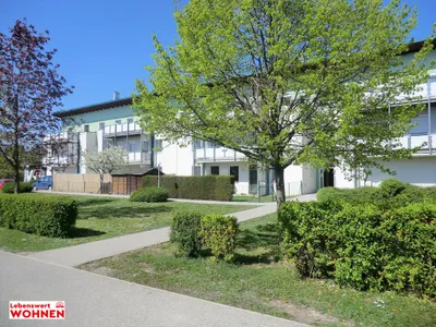 Immobilie mieten in Neusiedl am See – € 14 – Bild 1 von 3