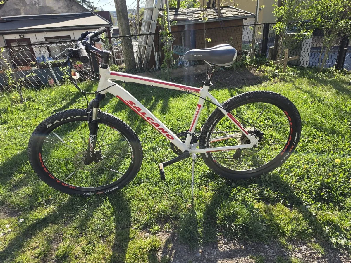 rennrad radon gebraucht Vaillant 9.0 | Generalüberholt TYPE:BLUE LIGHTNING/PRIZM MX SAPPHIRE BMX BIKES: 29 inch BMX Bikes Ass Savers WGS-2 Win