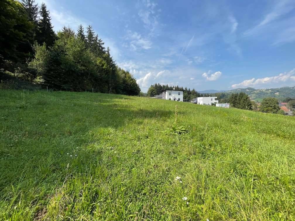 Traumhaftes Grundstück mit Fernblick - Ansicht 3