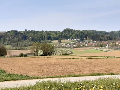 Grundstück kaufen in Weiz – 1 310 m², € 115.000 – Bild 3 von 4