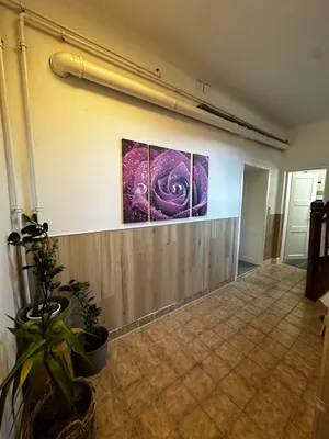 2-Zimmer-Wohnung mieten in Sankt Pölten Land – 48 m², € 560 – Bild 10 von 10