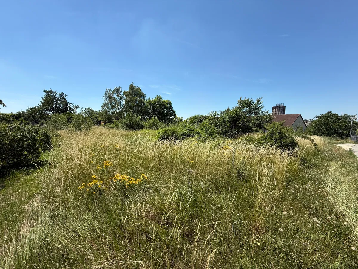 Grundstücke in Gänserndorf Stadt - 700 m², kein Bauzwang, mehrere Einheiten möglich! - Ansicht 2