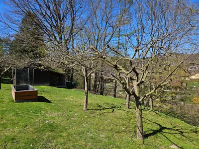 6-Zimmer-Gewerbeimmobilie kaufen in Sankt Pölten Land – 140 m², € 365.000 – Bild 3 von 12