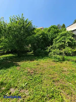Grundstück kaufen in Bruck an der Leitha – 1 094 m², € 795.000 – Bild 7 von 30