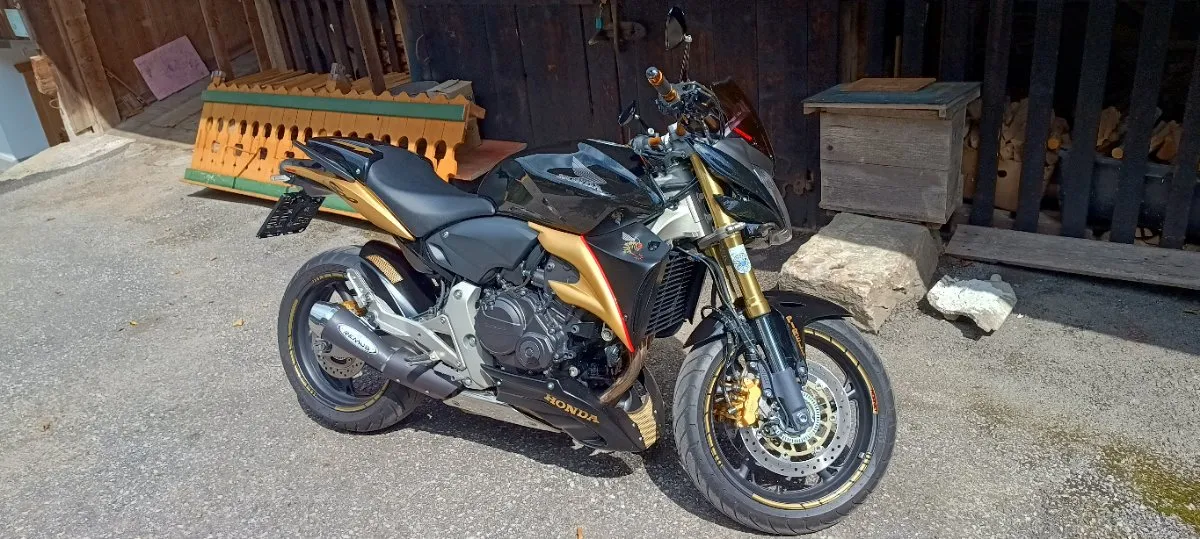 Honda Hornet