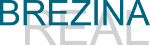 Brezina-Real Logo