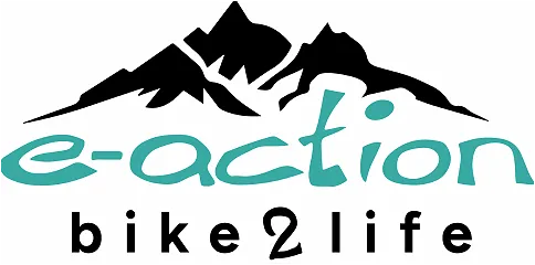 e-action GmbH e-action GmbH