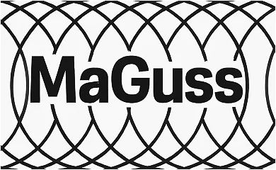Maguss GmbH Maguss GmbH