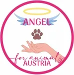 Angel for Animals Angel for Animals