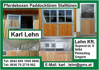 Lehn Kft. Lehn Kft.