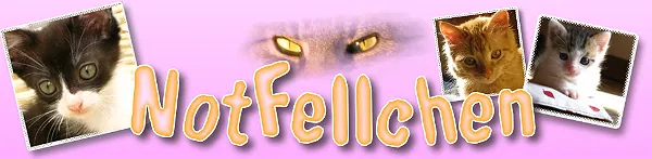 Notfellchen - gemeinnütziger Tierschutzverein Notfellchen - gemeinnütziger Tierschutzverein