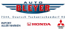 Bleyer GmbH & Co KG Logo