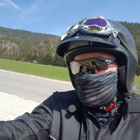 Horli