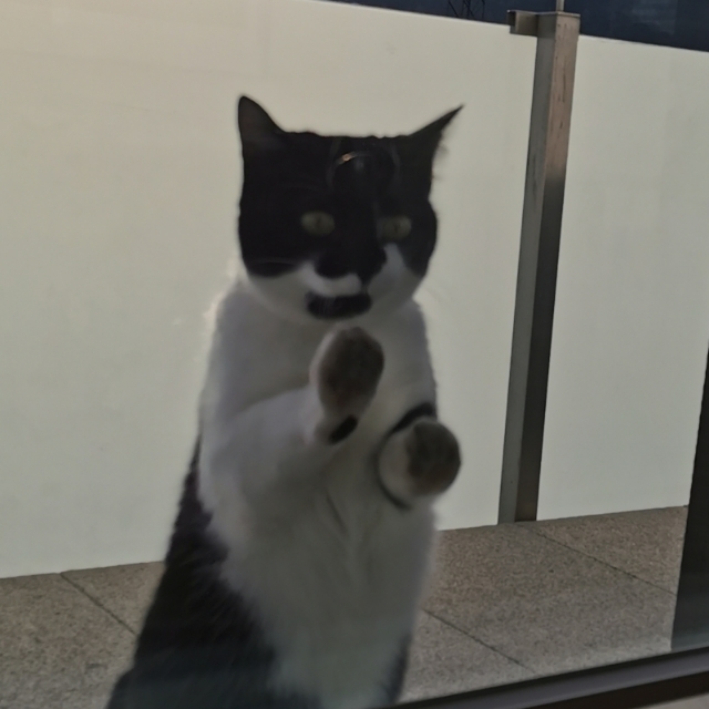 Ch