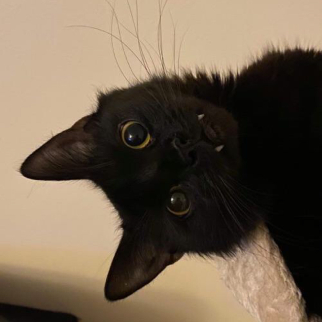 Be