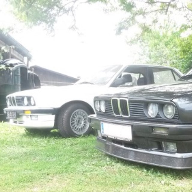 Franz