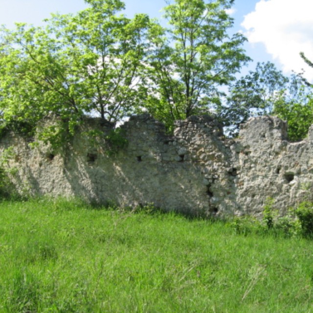 Privater Anbieter