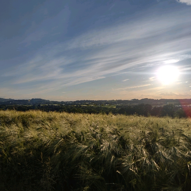 Nordlicht
