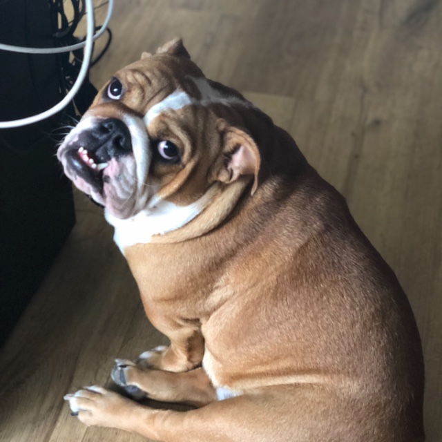 ooooo ooooo