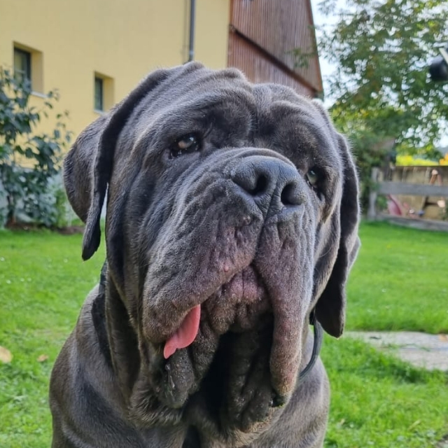 Sandra