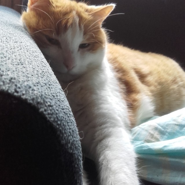 Charlie