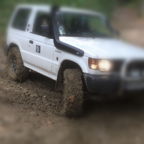 Herbert