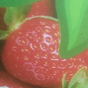 Ich