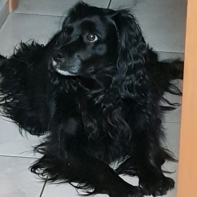 Ich