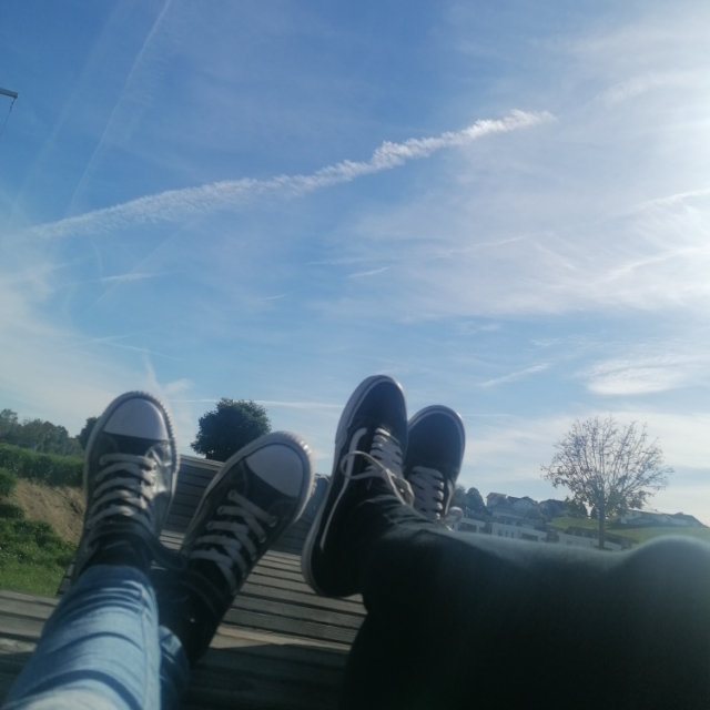 Lisi